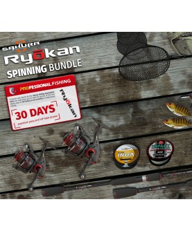 Professional Fishing - Sakura Ryokan Spinning DLC Steam Key GLOBAL